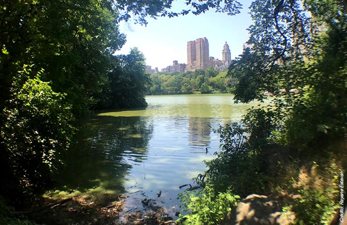 008-ast-foto-2-central-park