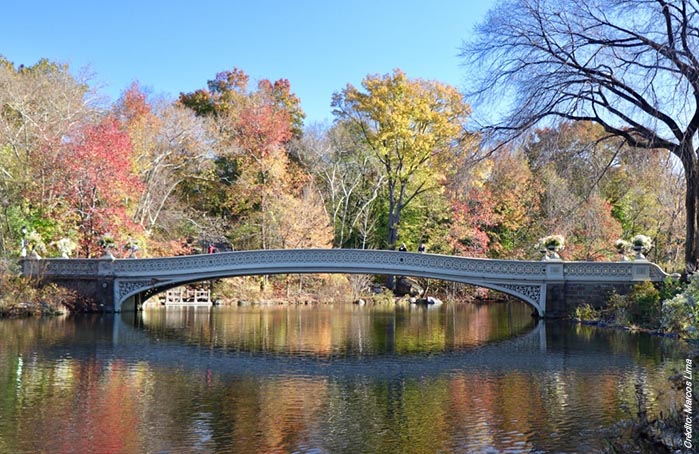 009-diver-foto-1-central-park