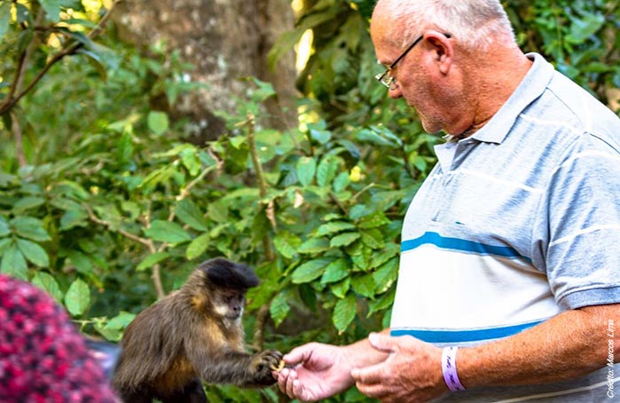 010-idad-foto-2-macaquinhos