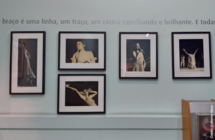 007-pass-foto-5-sala-elis-regina